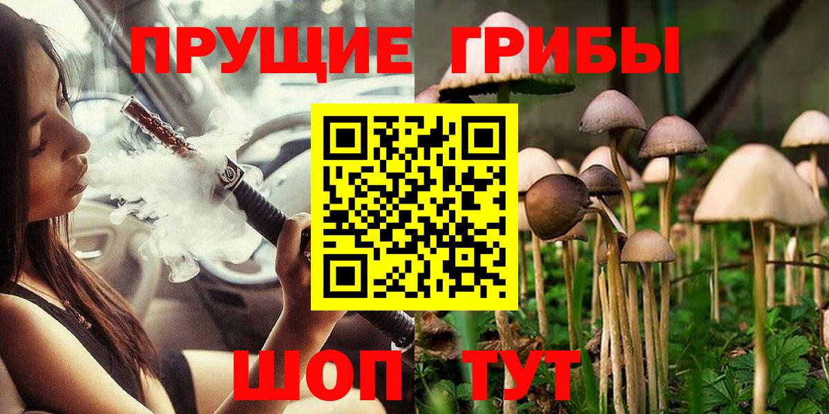 Псилоцибиновые грибы Psilocybe  Вход с VPN  Крымск 